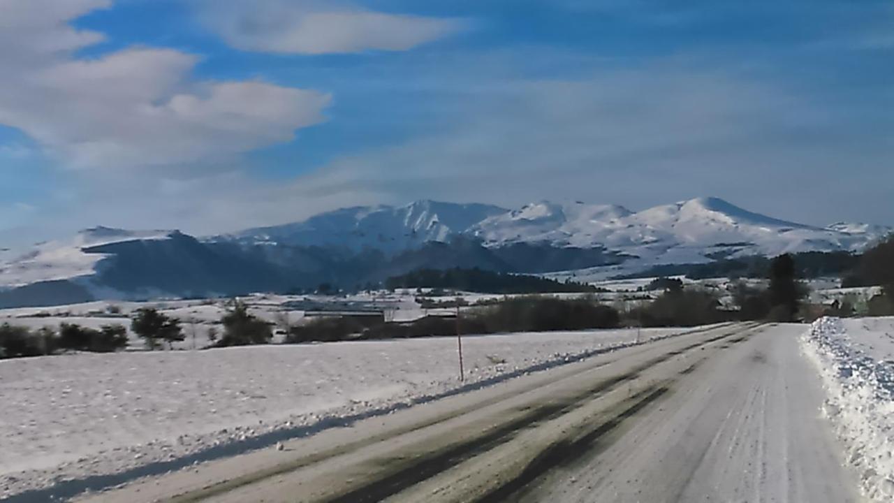 Tulipe, Appartement 5 Personnes, Entre Sancy Et Volcans D'Auvergne Orcival Ngoại thất bức ảnh