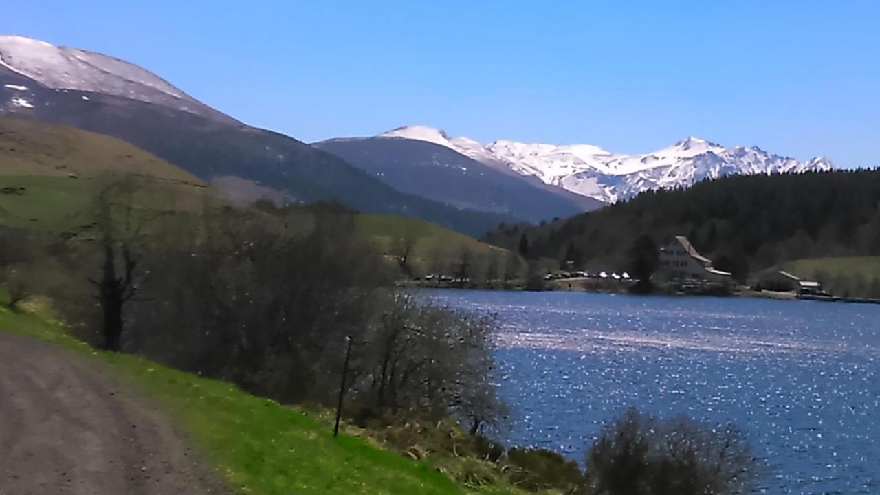 Tulipe, Appartement 5 Personnes, Entre Sancy Et Volcans D'Auvergne Orcival Ngoại thất bức ảnh