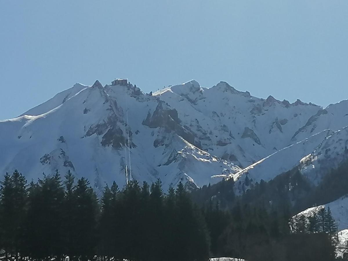 Tulipe, Appartement 5 Personnes, Entre Sancy Et Volcans D'Auvergne Orcival Ngoại thất bức ảnh