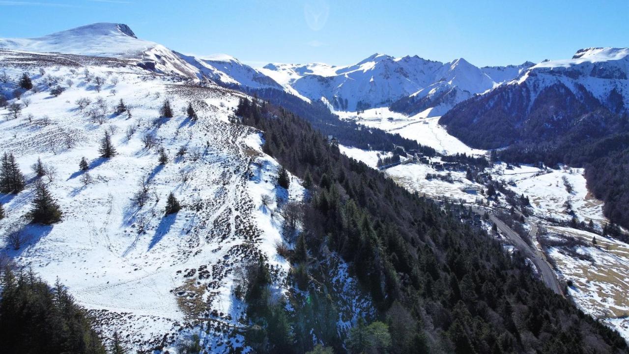 Tulipe, Appartement 5 Personnes, Entre Sancy Et Volcans D'Auvergne Orcival Ngoại thất bức ảnh