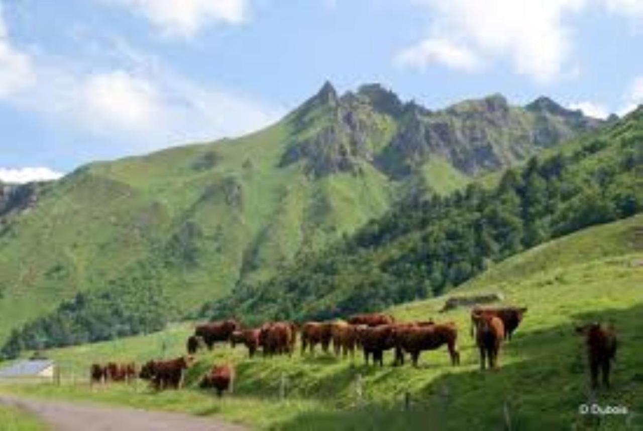 Tulipe, Appartement 5 Personnes, Entre Sancy Et Volcans D'Auvergne Orcival Ngoại thất bức ảnh