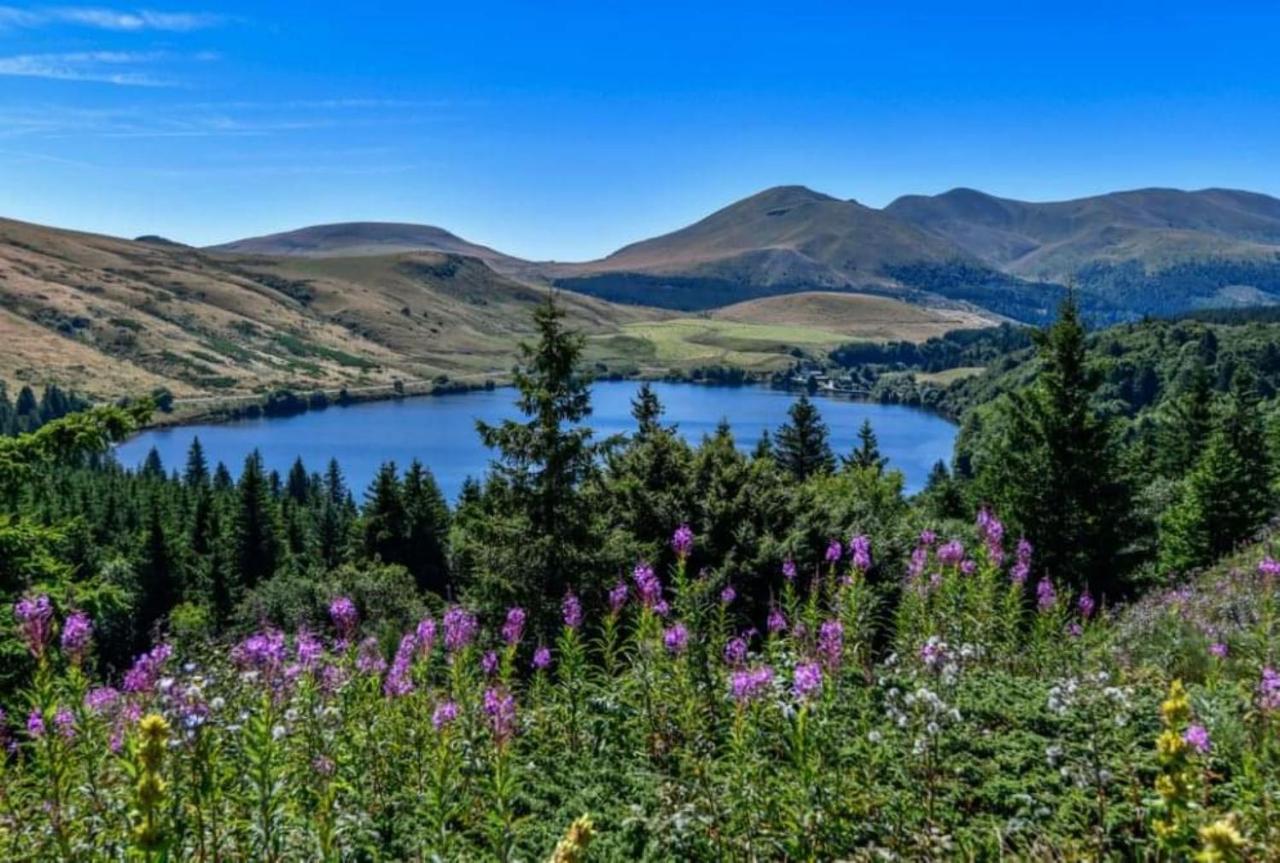 Tulipe, Appartement 5 Personnes, Entre Sancy Et Volcans D'Auvergne Orcival Ngoại thất bức ảnh