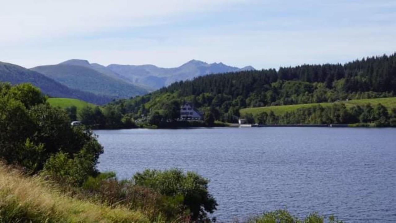 Tulipe, Appartement 5 Personnes, Entre Sancy Et Volcans D'Auvergne Orcival Ngoại thất bức ảnh